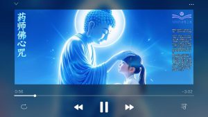 药师 女声-封面